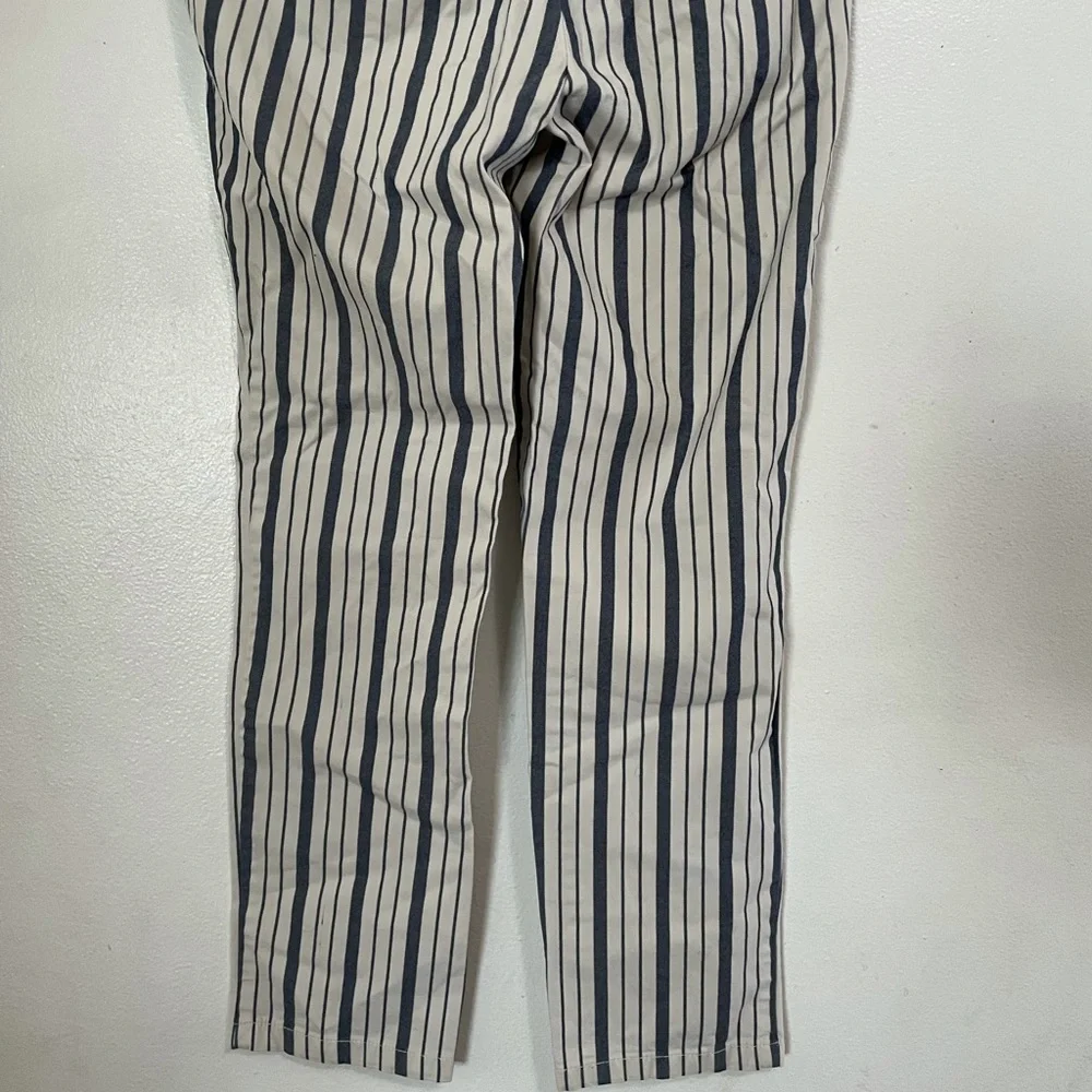 Loft striped pants